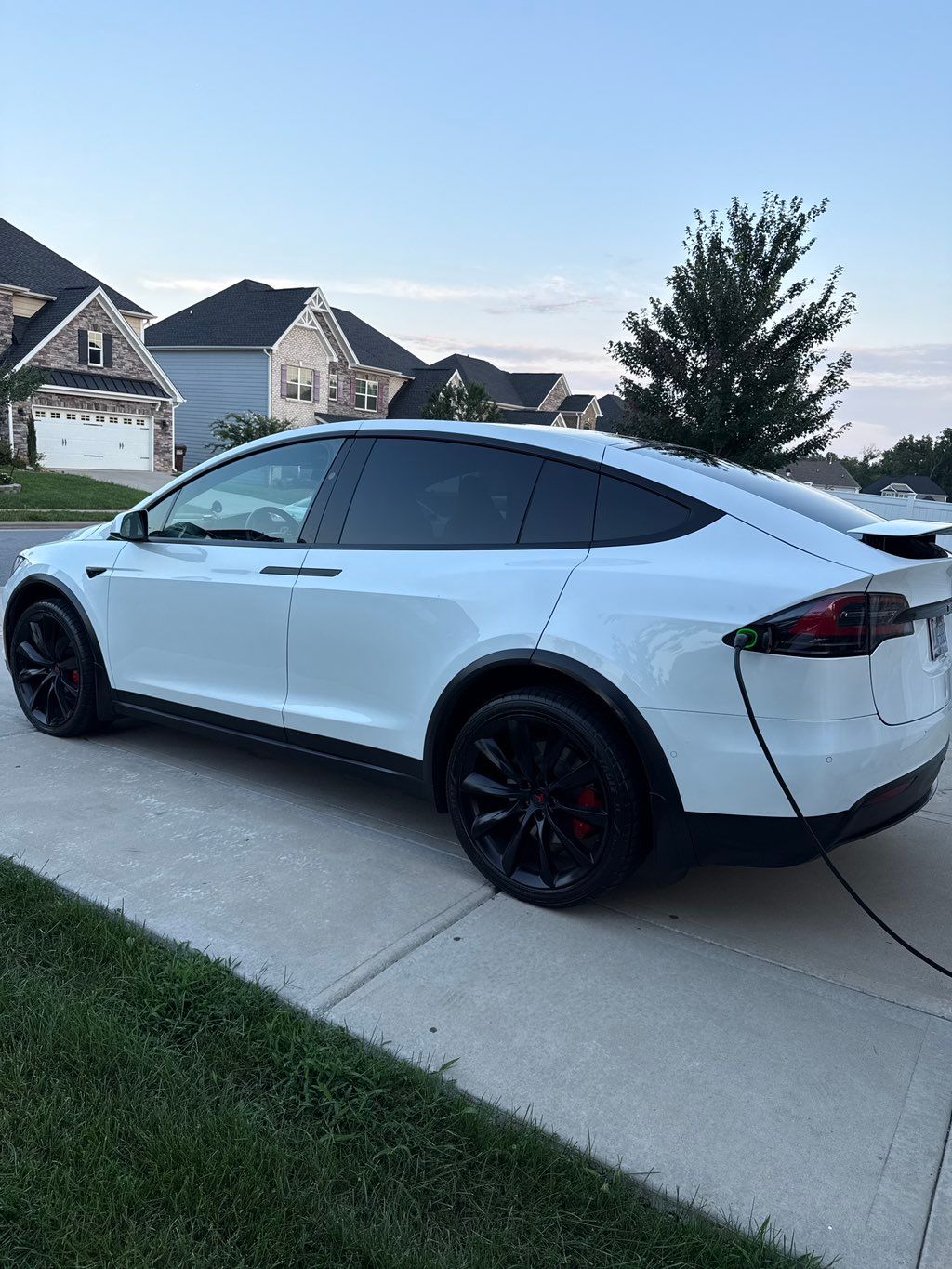 Customer photos