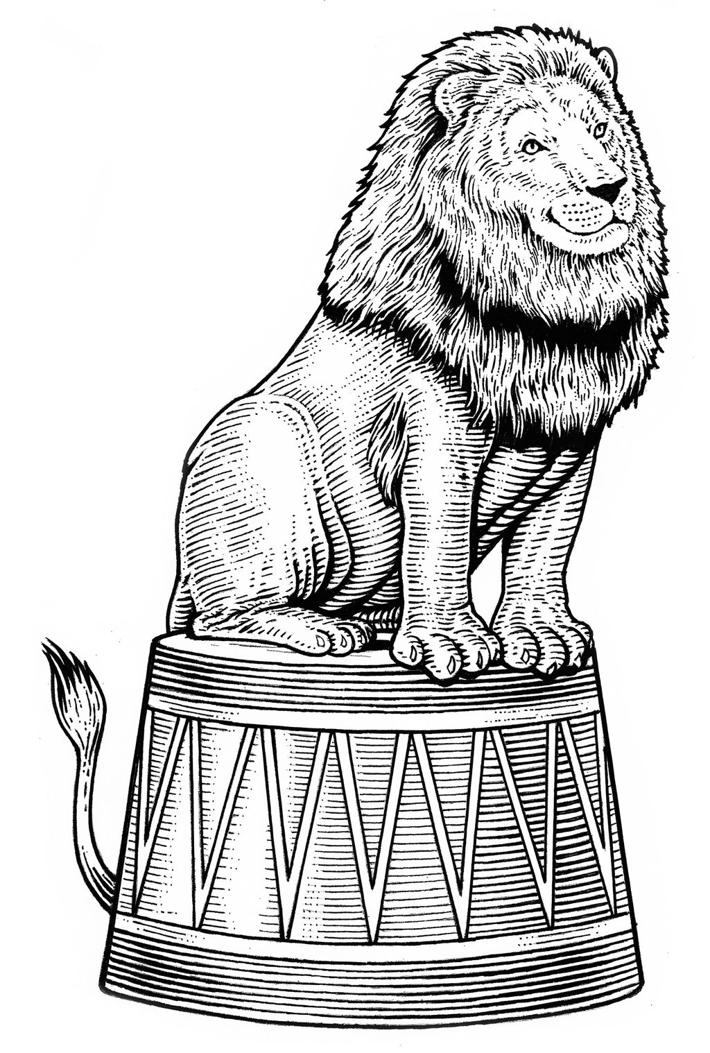 Circus Lion