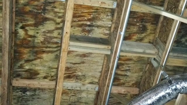 Mold on structure 