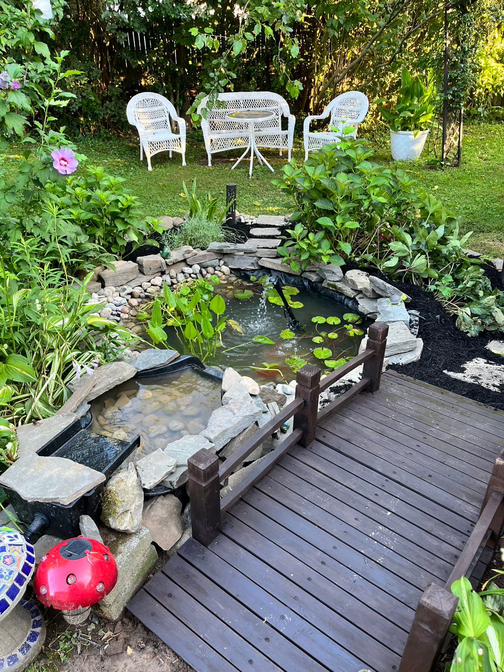 Small pond🐠