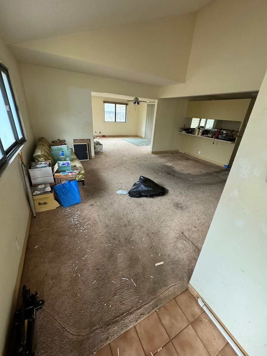 dining/living before