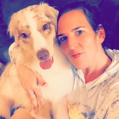 Avatar for Aviva’s Perfect Pet & House Sitting