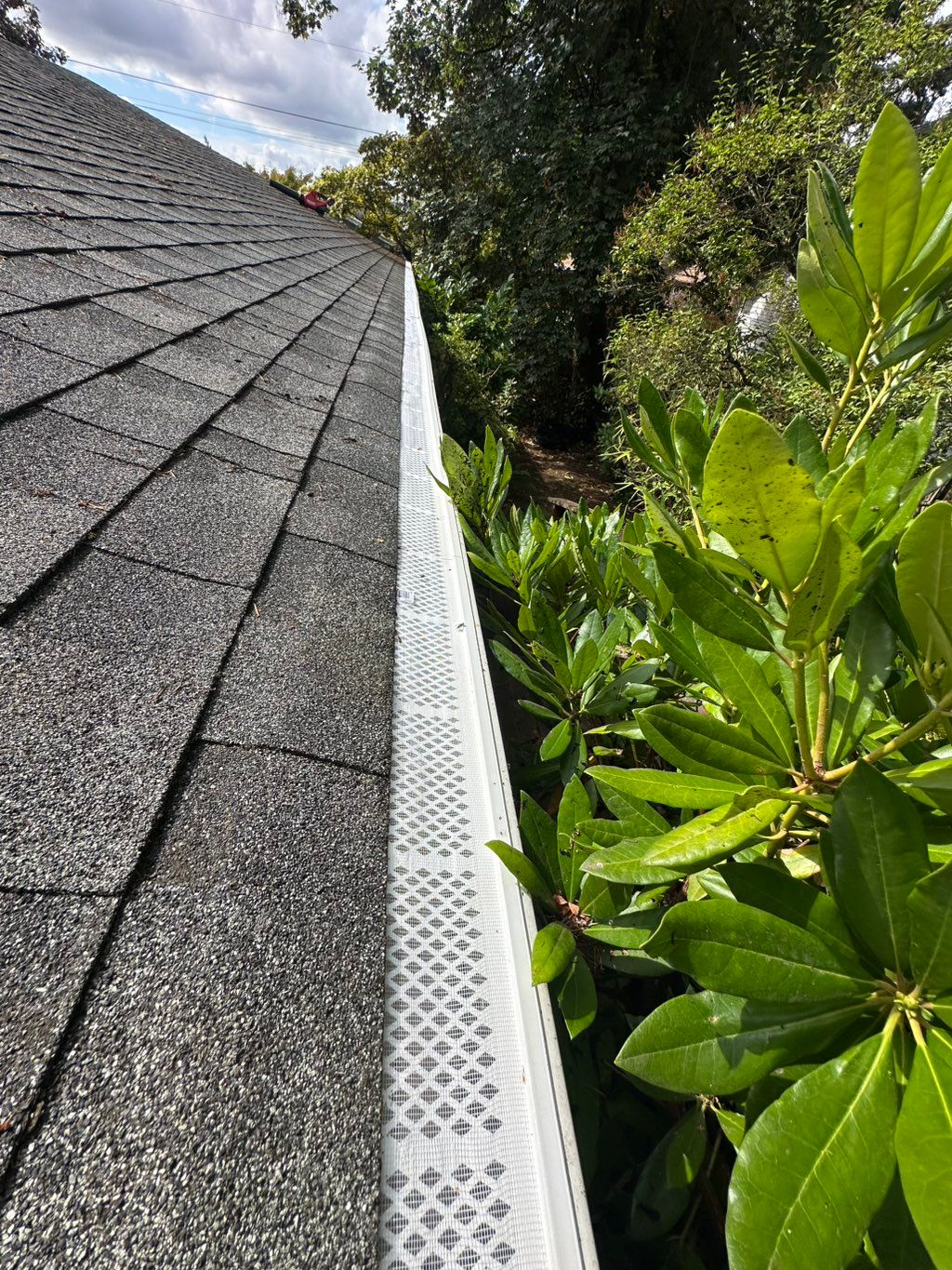 Gutter guards installation 