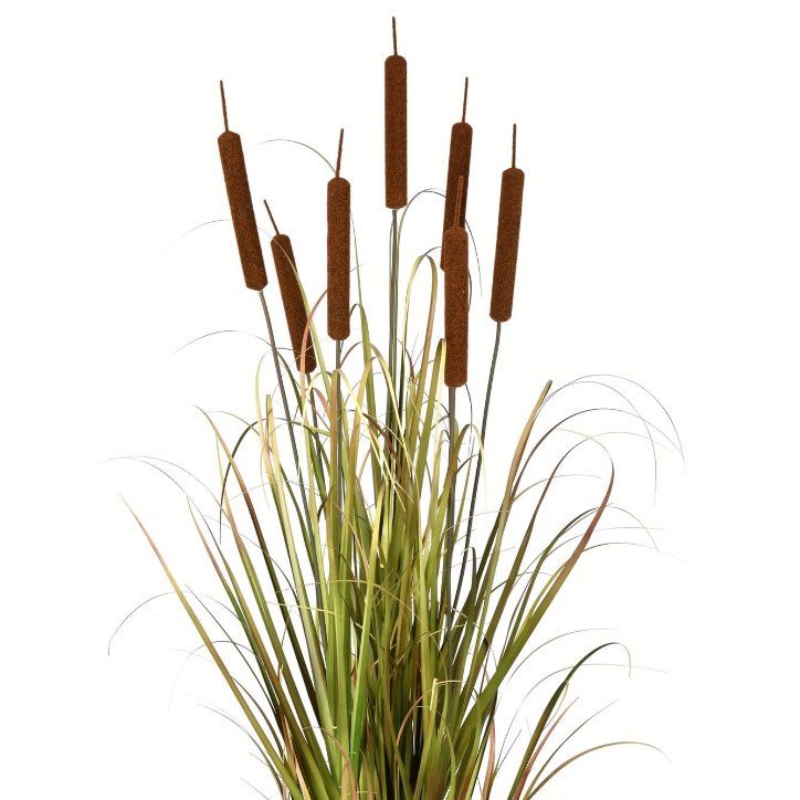 Cattails Construction