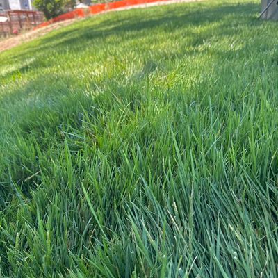 Avatar for Oceanside Landscaping