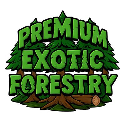 Avatar for Premium forestry