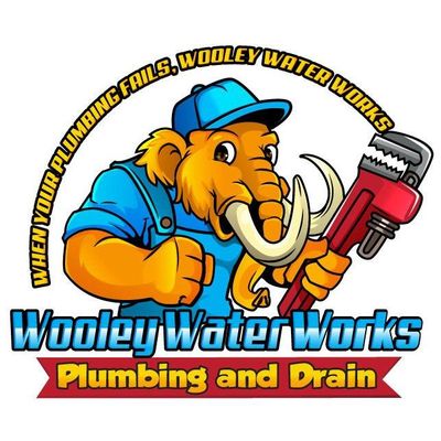 Avatar for Wooley Water Works Plumbing and Drain
