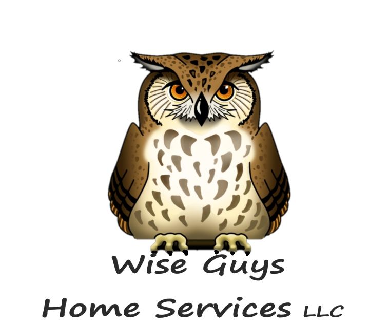 wiseguyshomeservices.com