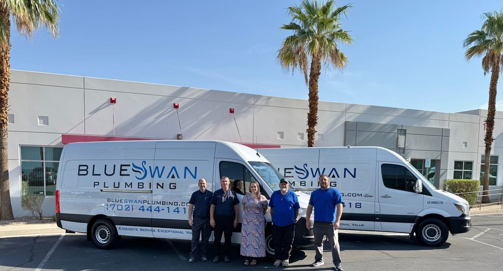 Hello from the Blue Swan Team!