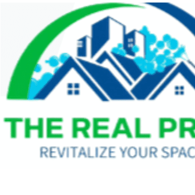 Avatar for THE REAL PROS GROUP LLC