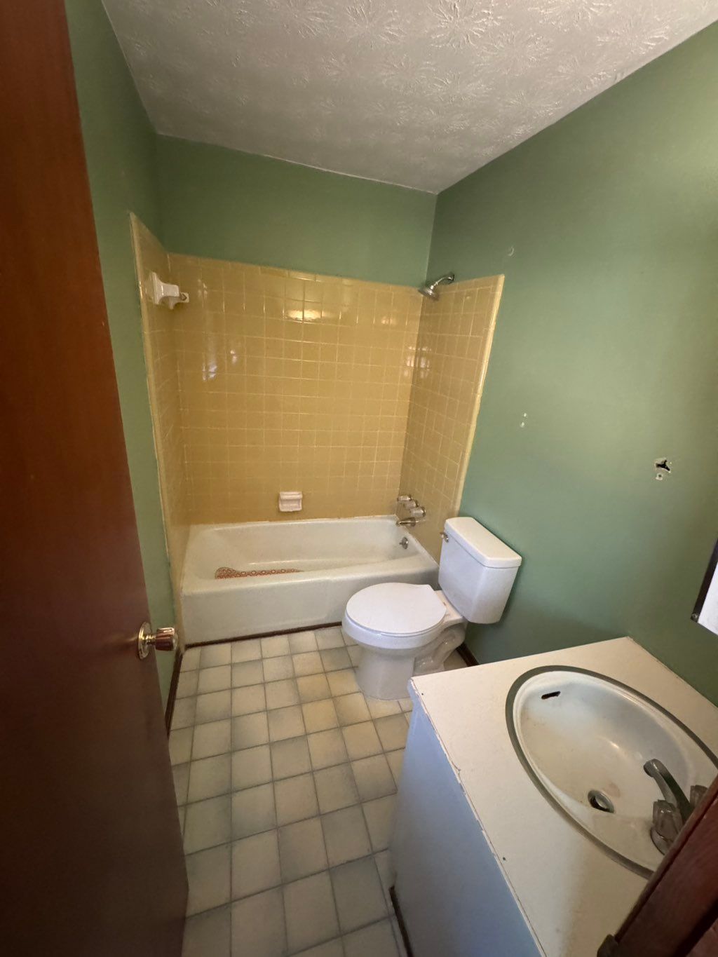 Before/Bathroom Remodel