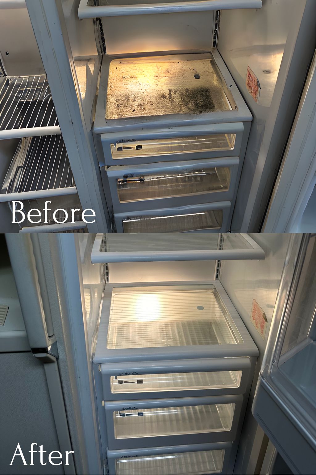  Refrigerator Cleaning - Before & After