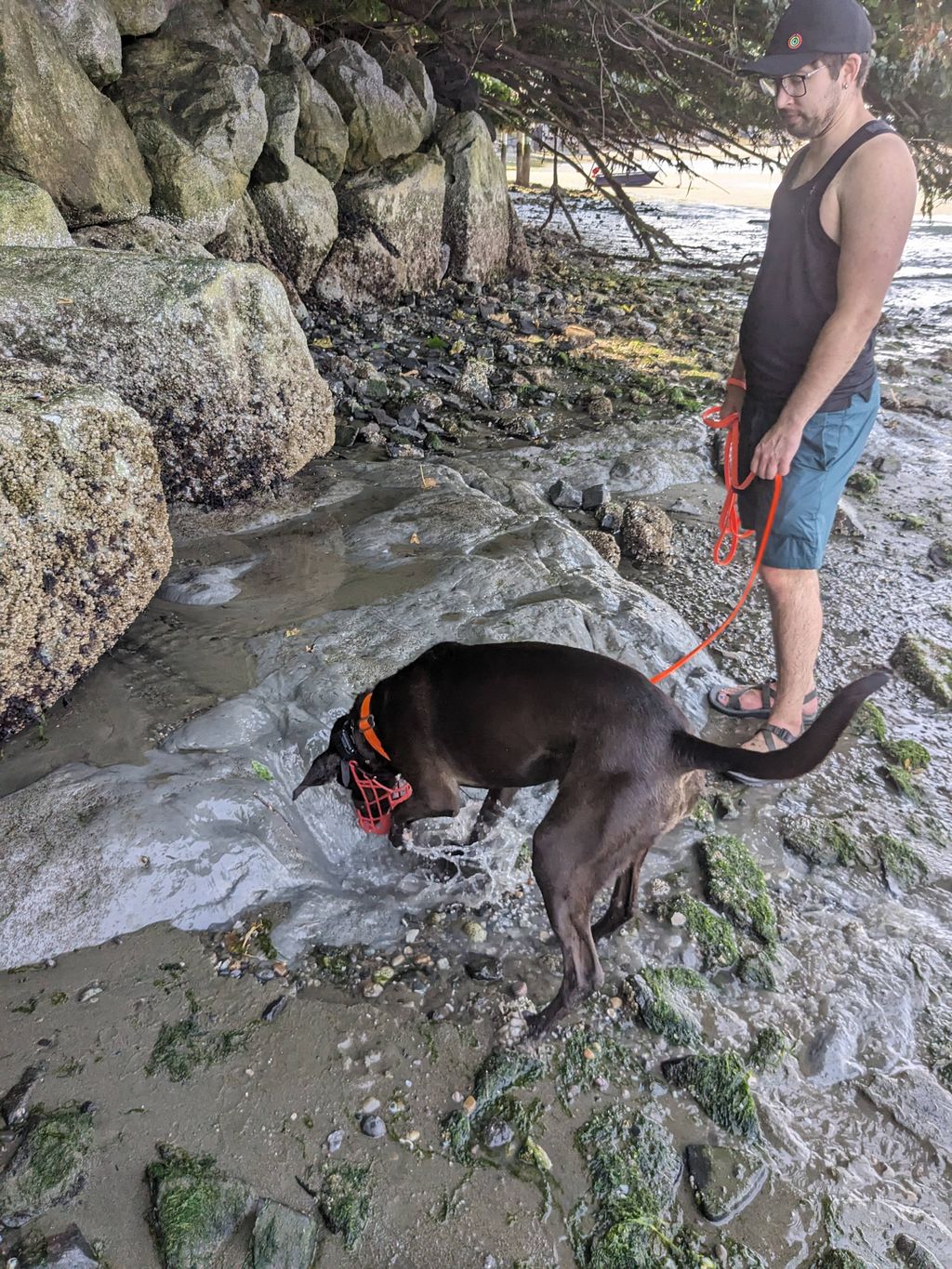 Jakes and her owner on an outing to the beach to b