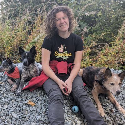 Avatar for Dedication Dog Training