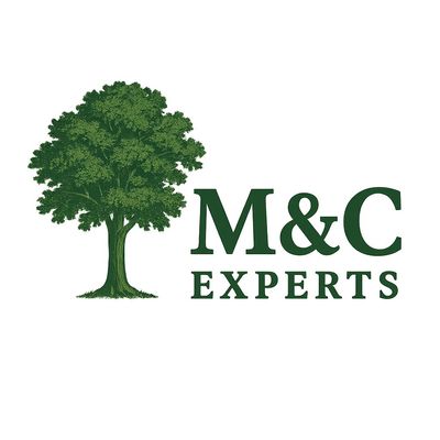 Avatar for M&C experts