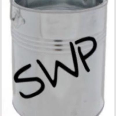 Avatar for SWP Painting