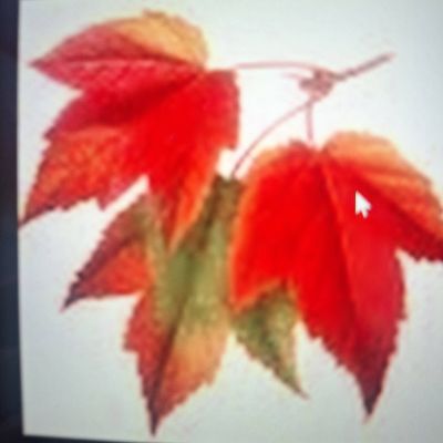 Avatar for J. T. Landscaping