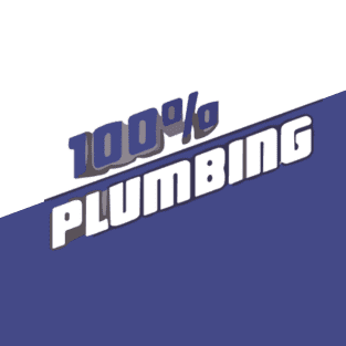 Avatar for 100 Percent Plumbing DFW
