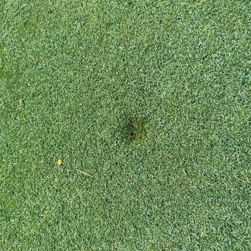 Onit Land Management