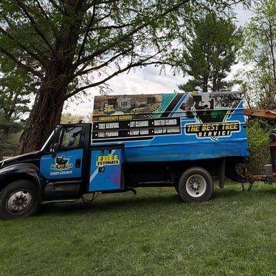 Avatar for The best tree service llc