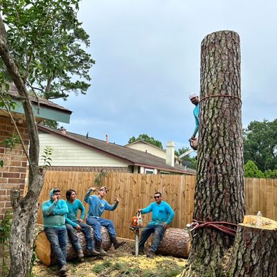 Avatar for Texas Tree Services MM