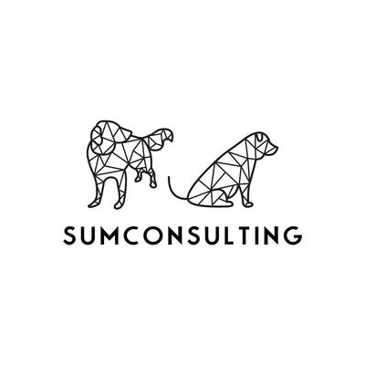 Avatar for SumConsulting LLC