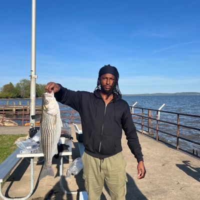 Avatar for Kel’s junk removal