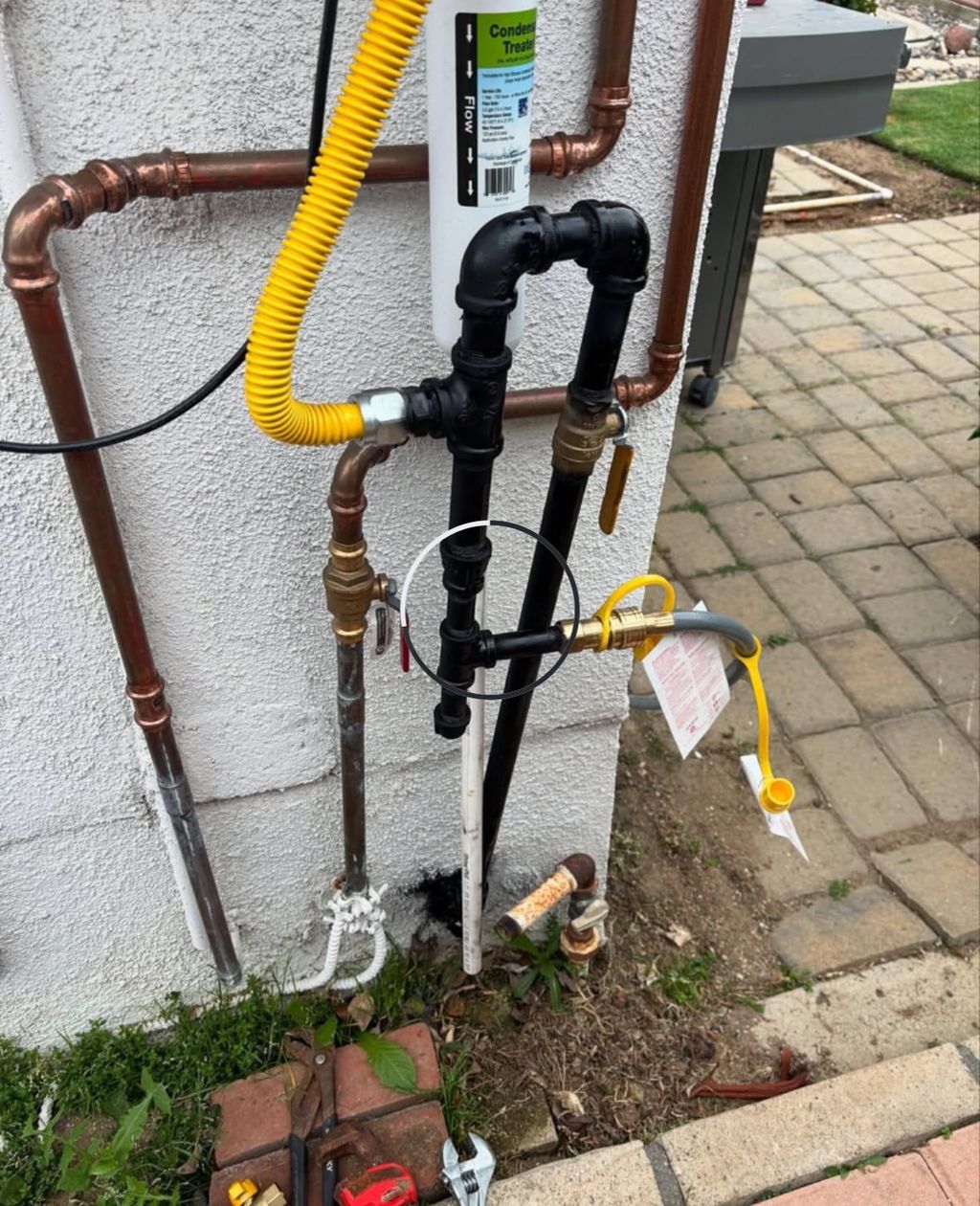 Customer photos