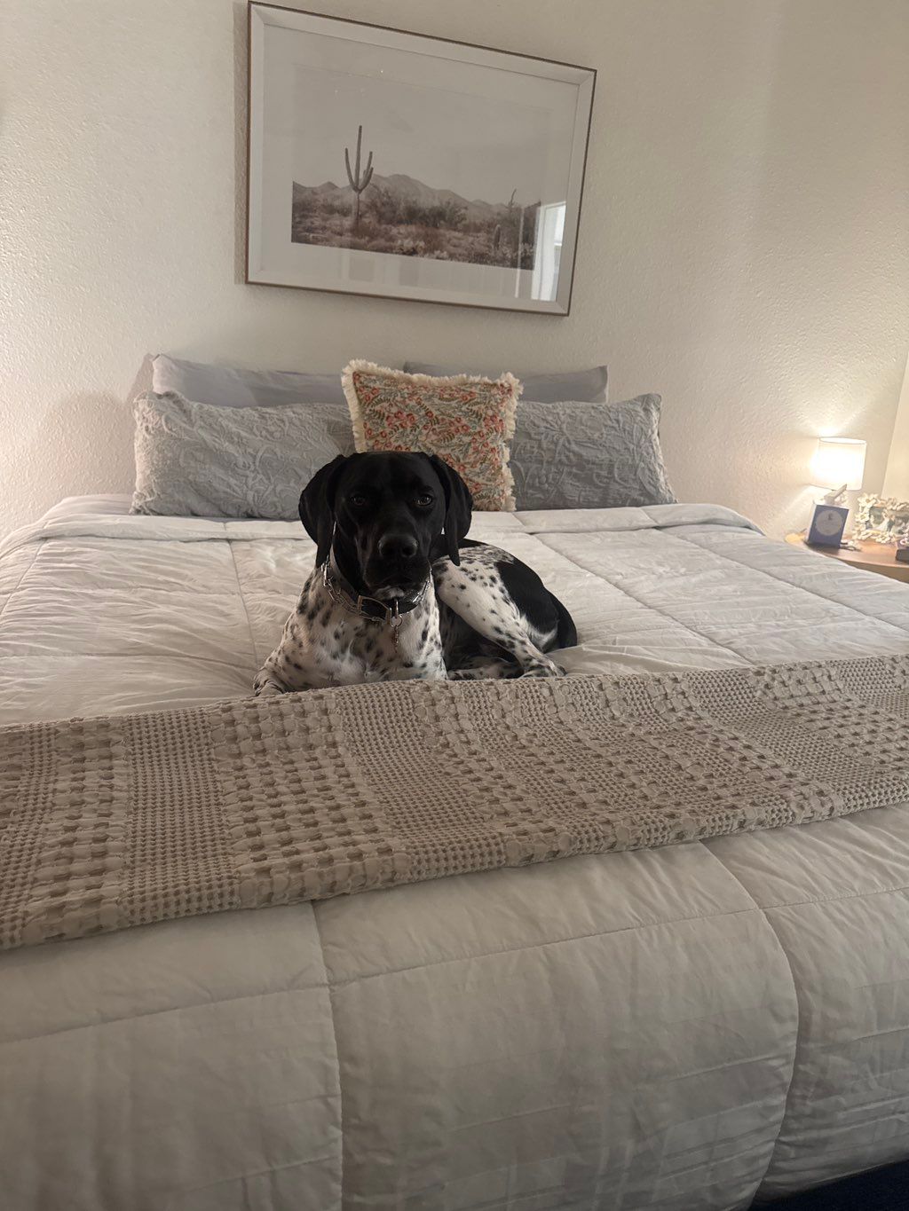 Customer photos