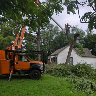 Avatar for Helton Tree Service