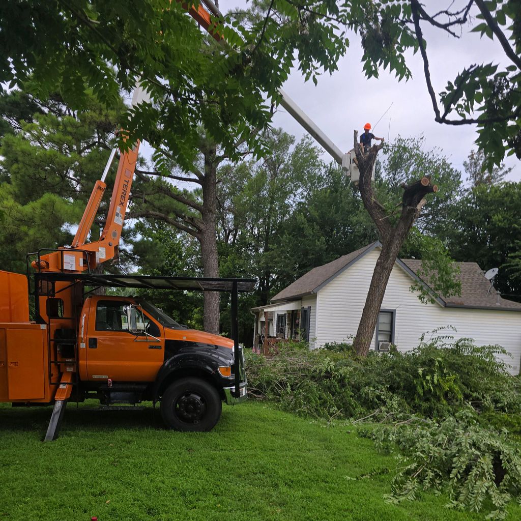 Helton Tree Service