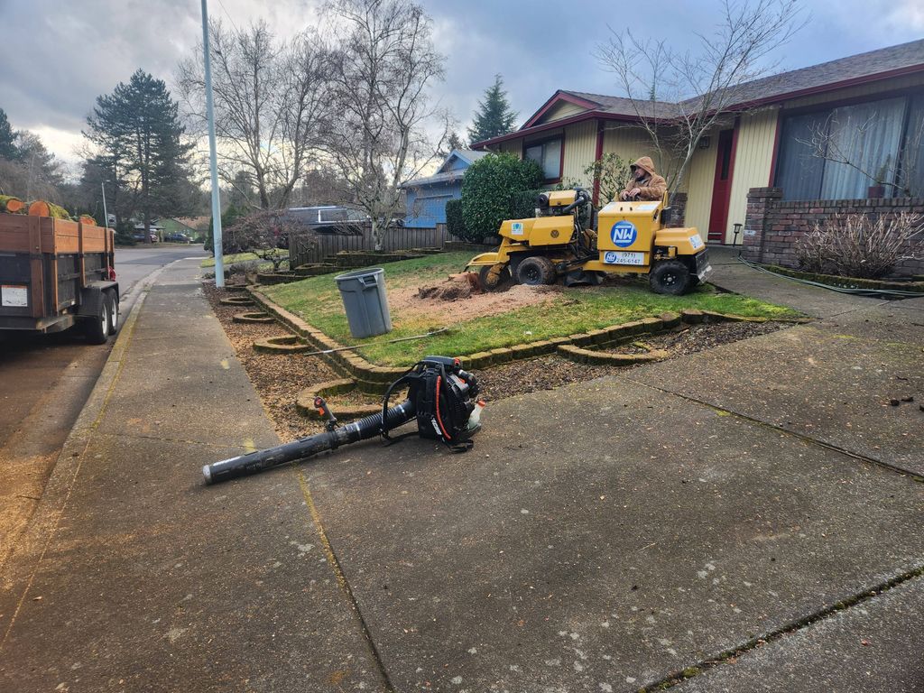 Stump Grinding 