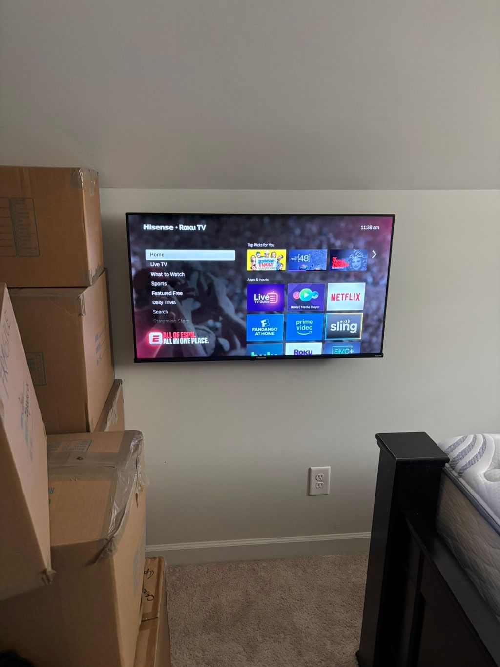Projects and media