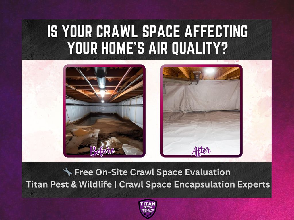 Crawl Space Encapsulation & Vapor Barrier Services