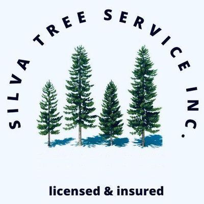 Avatar for Silva Tree Service Inc