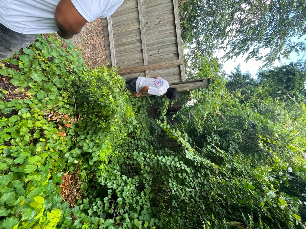 Port City Tree Services | Wilmington, NC | Thumbtack
