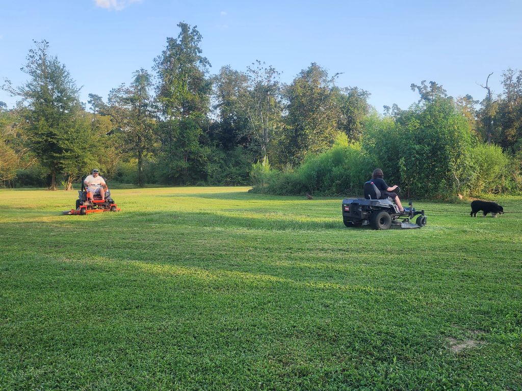 Lawn Mowing