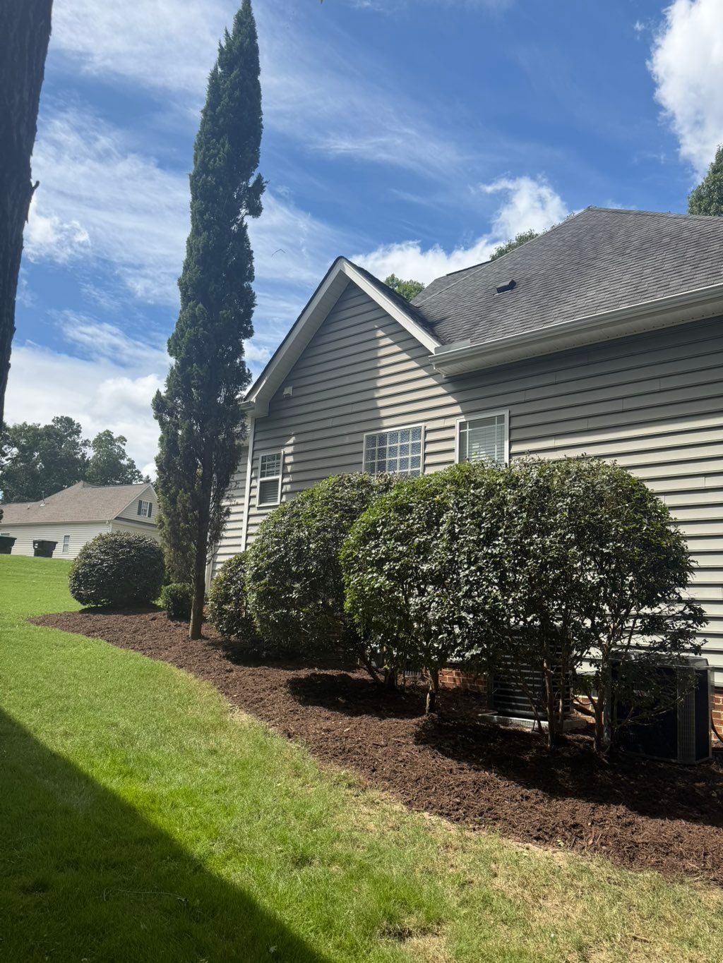 Pruning, and brown mulch installation 