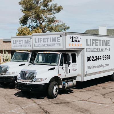 Avatar for Lifetime Moving & Storage