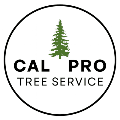 Avatar for Cal Pro Tree Service *Serious Inquiries Please*