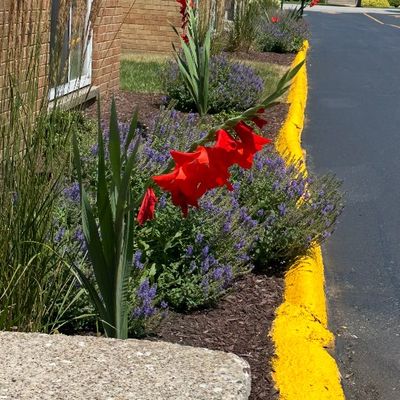 Avatar for Oncall Tech