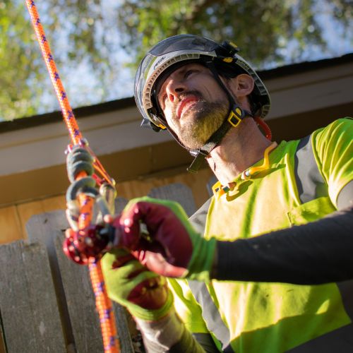 Johntilly Tree Services