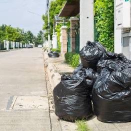 Avatar for Pedro trash removal