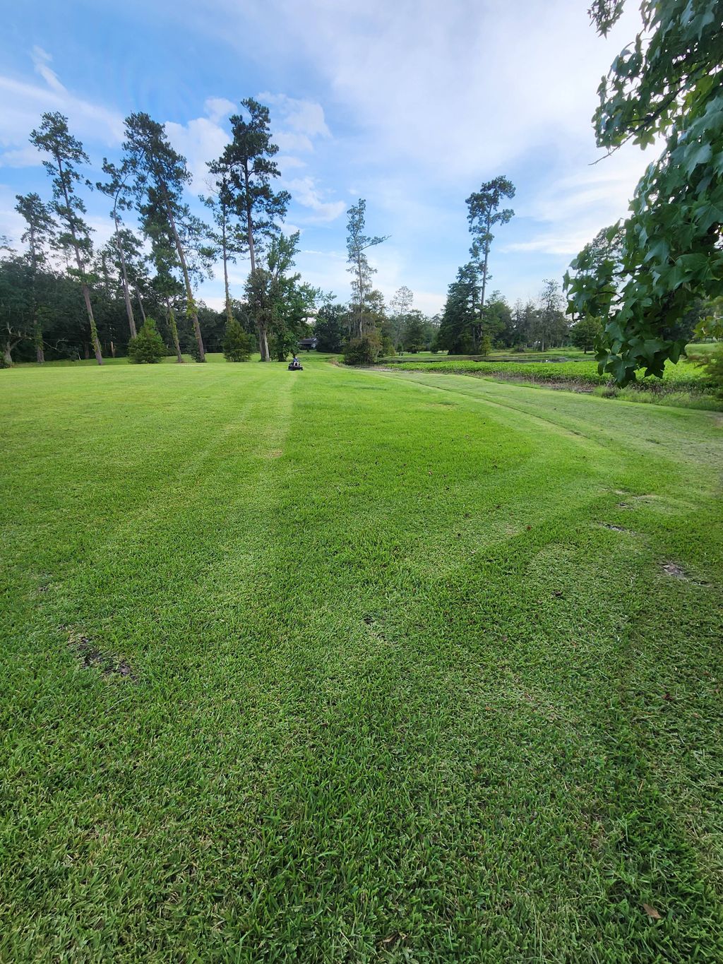 Lawn Mowing