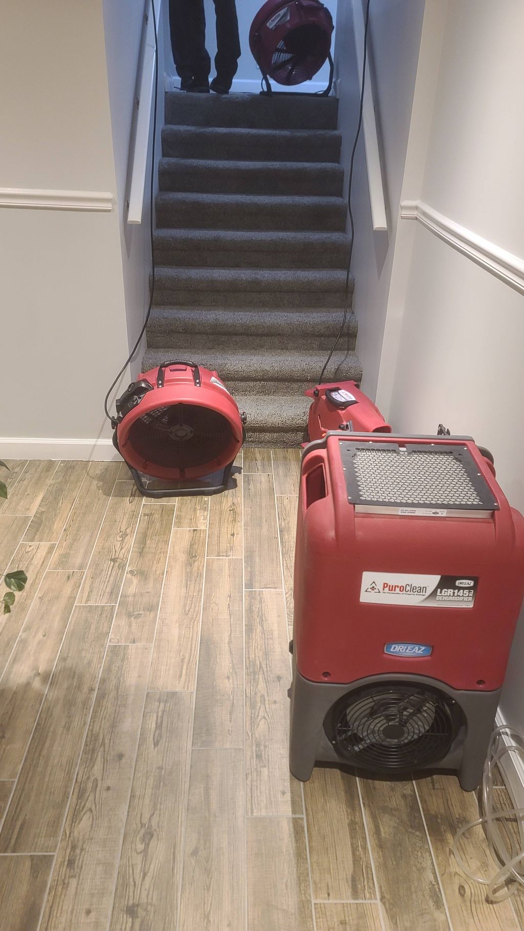Drying Flooded Home