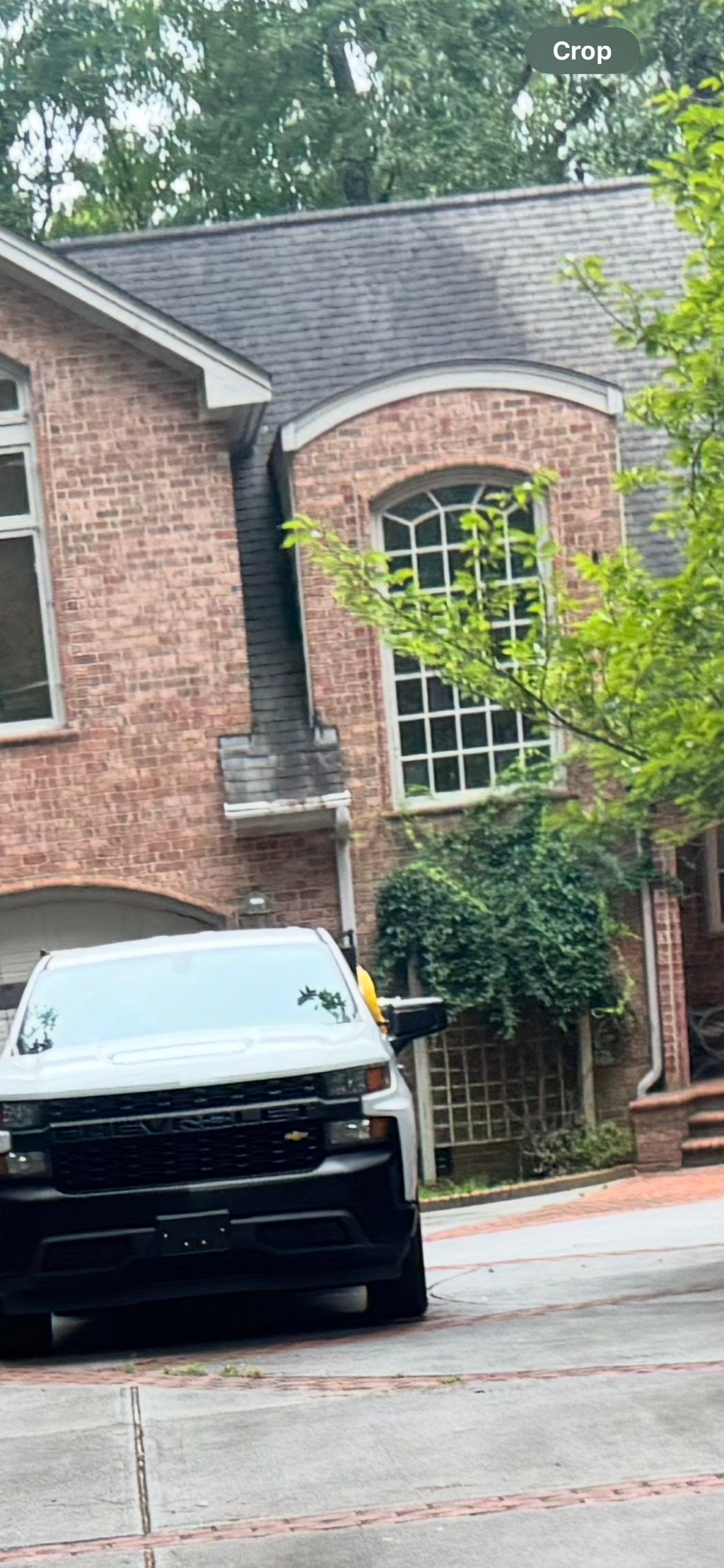 Roof cleaning BEFORE 