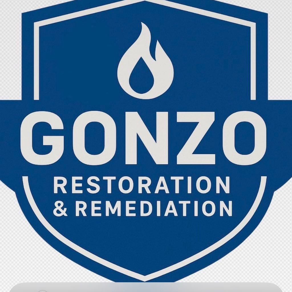 Gonzo Restoration