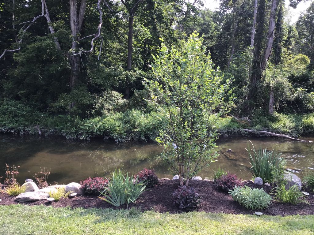 River Bank Garden 