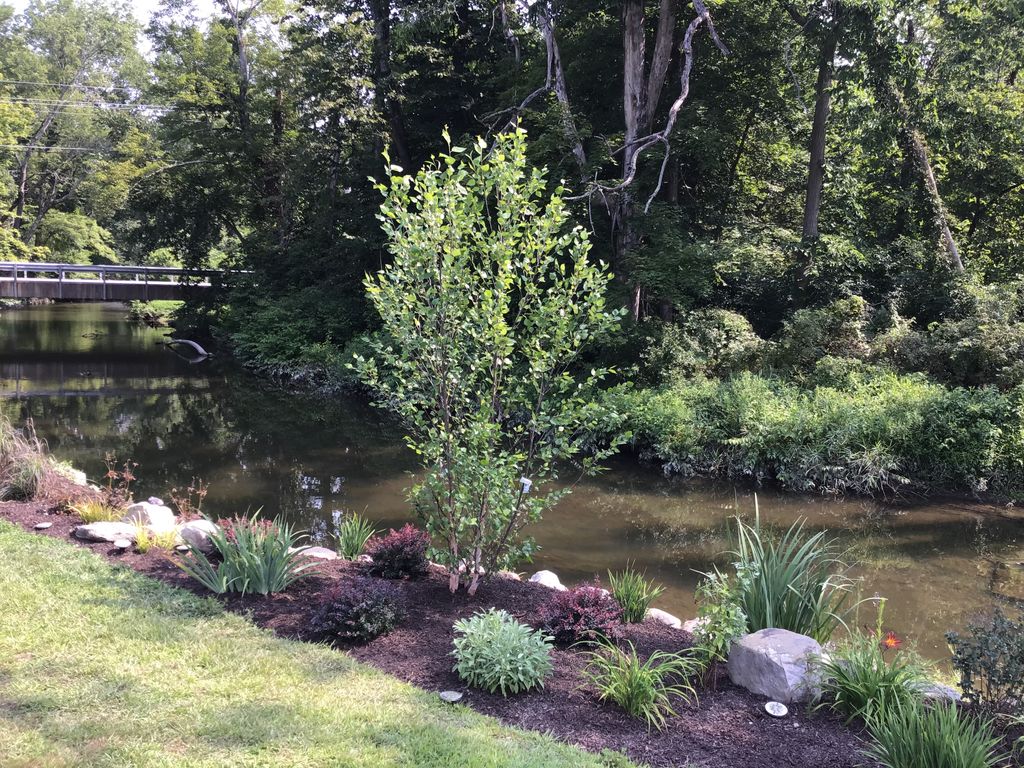 River Bank Garden