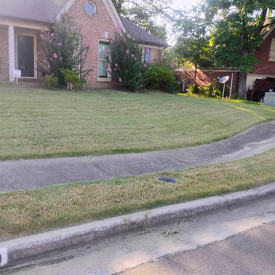 Avatar for we care lawncare